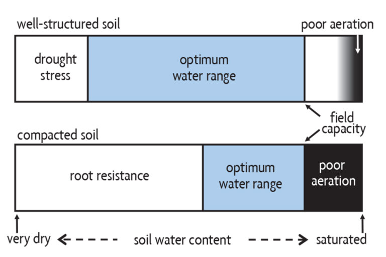 Ch Soil Degradation Erosion Compaction And Contamination Sare