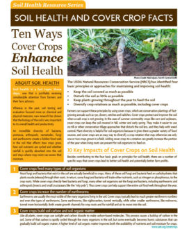 10 Ways Cover Crops Enhance Soil Health Resources - SARE