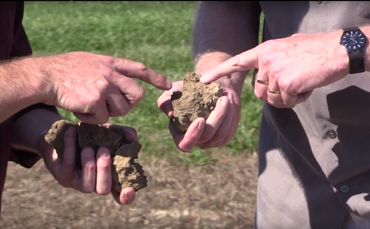 Cornell Soil Health Assessment - SARE