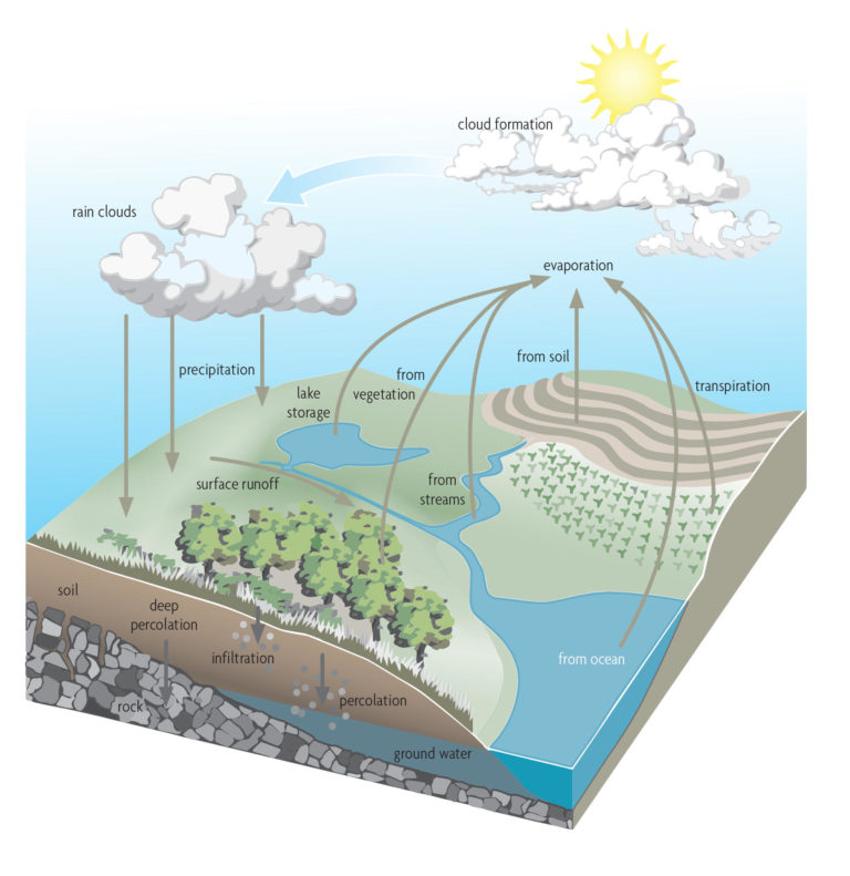 4) Draw a labelled diagram of water cycle.​ - Brainly.in