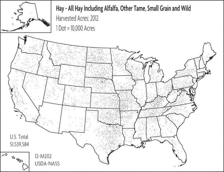 grain crops of the us
