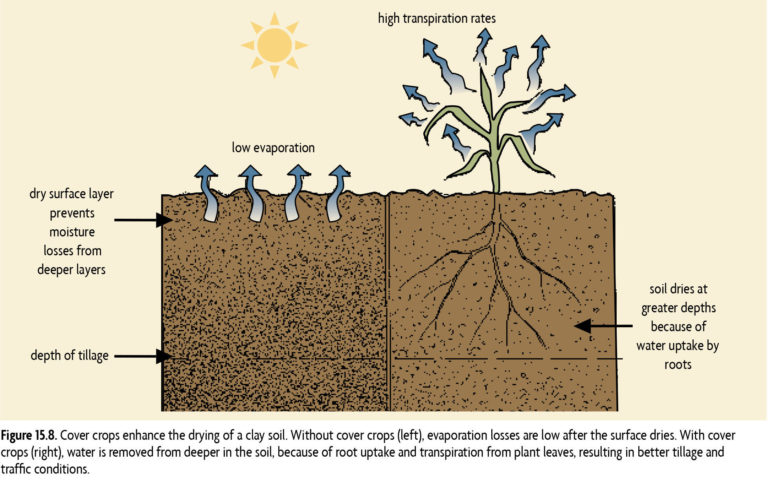 Plow Layer And Subsoil Compaction - SARE