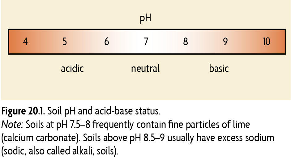 Soil Acidity Sare