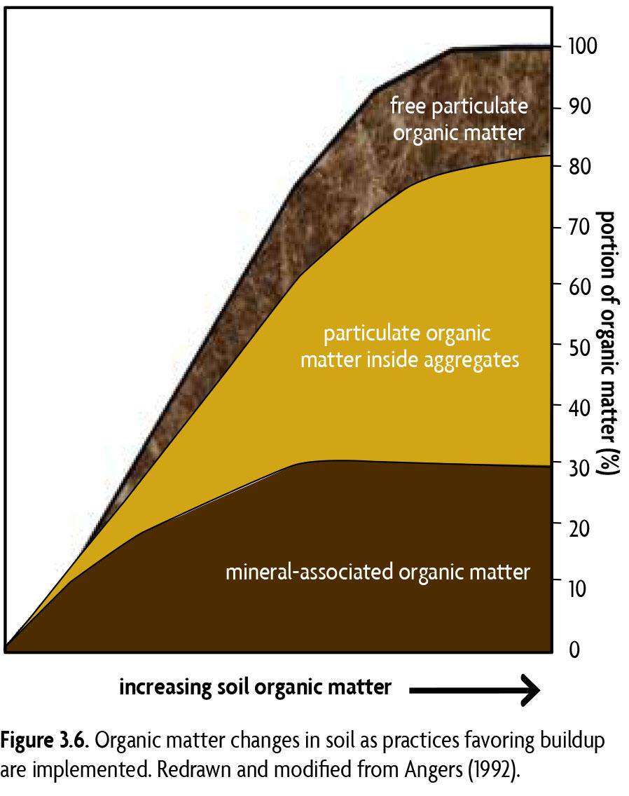 the-dynamics-of-raising-and-maintaining-soil-organic-matter-levels-sare