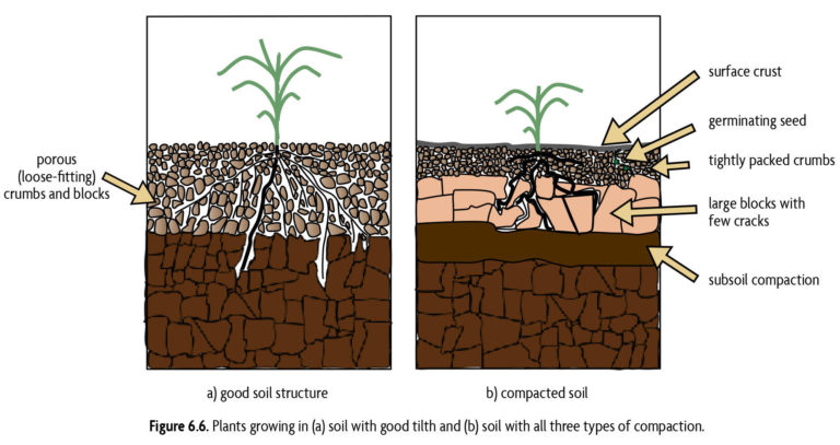 Soil Tilth and Compaction - SARE