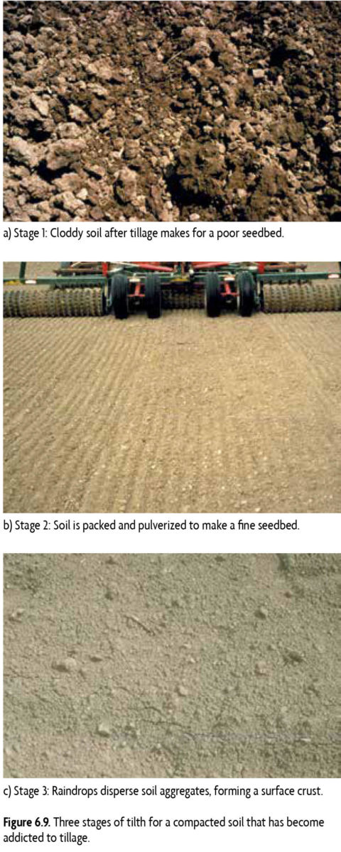 Soil Tilth and Compaction - SARE