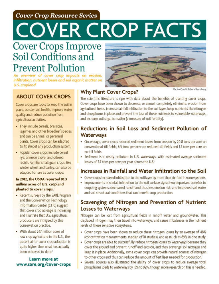 Free Fact Sheets Identify Broad Benefits of Cover Crops SARE