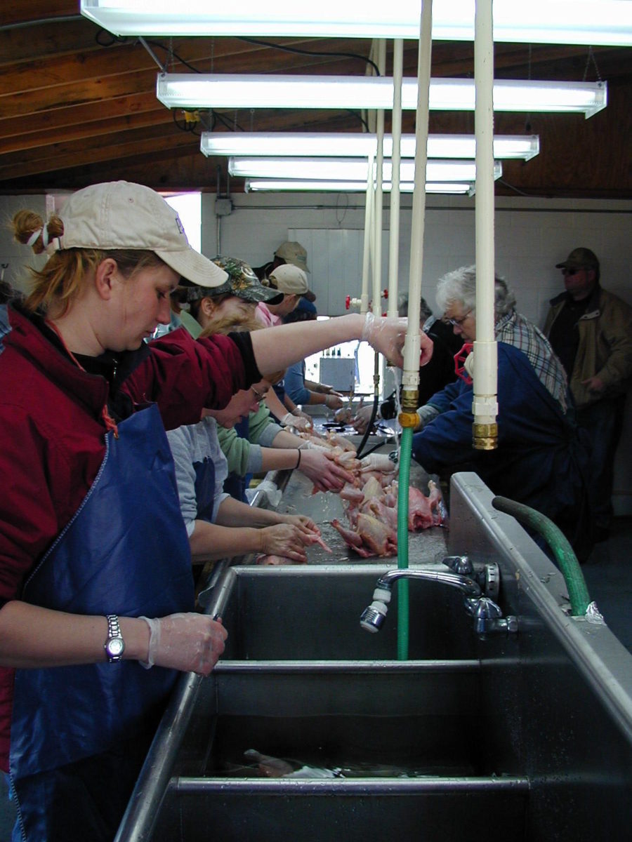 FAQ: Egg Washing - Robert Plamondon's Rural Life