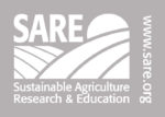 SARE logo SARE logo