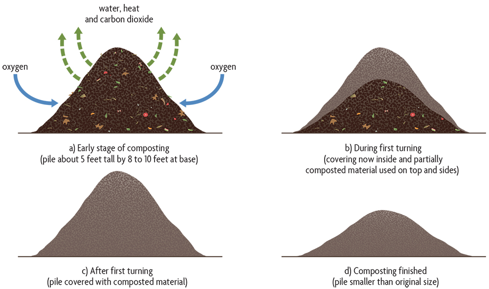 Ch 13. Making And Using Composts - SARE