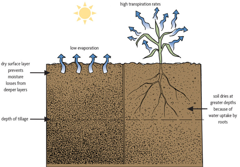 Ch 15. Addressing Compaction - SARE