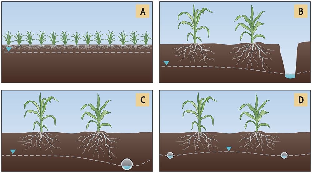 Drain Water Management - SARE