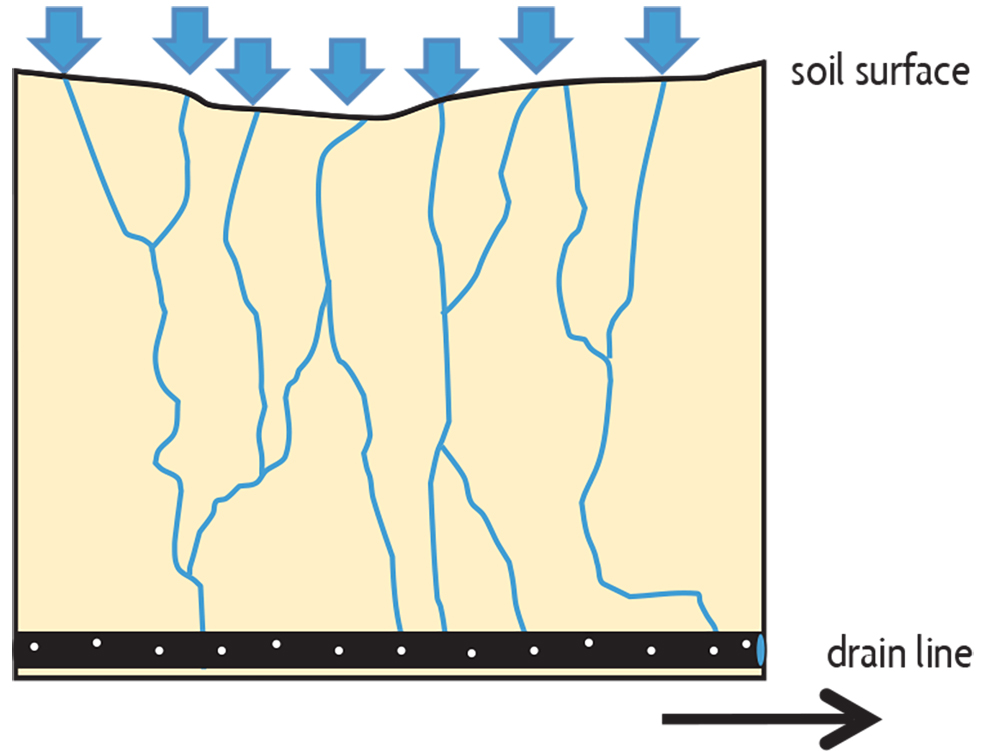 Drain Water Management - SARE