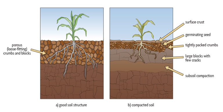 Ch 6. Soil Degradation: Erosion, Compaction, and Contamination - SARE