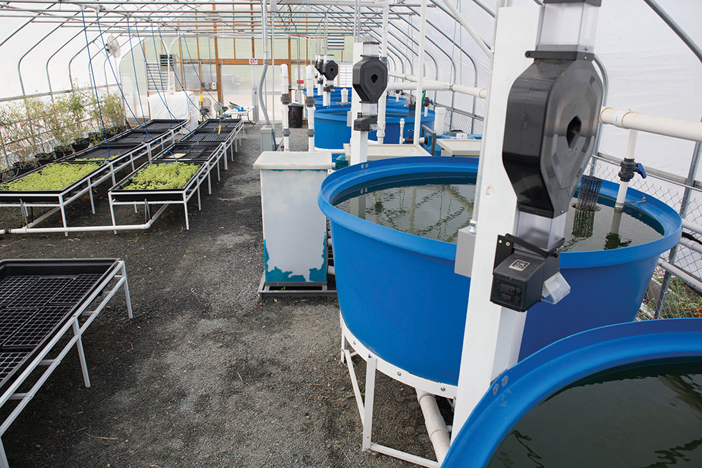 Aquaponics and Hydroponics - SARE