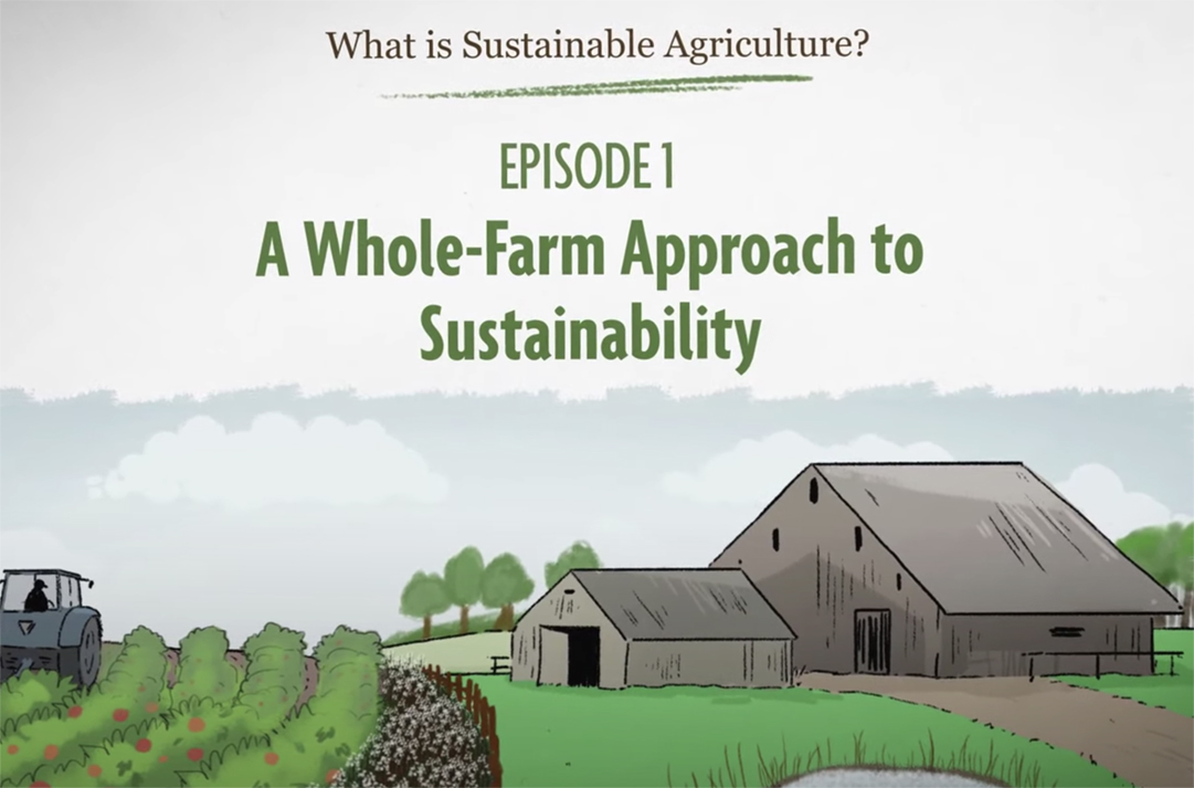 What Is Sustainable Agriculture? - SARE